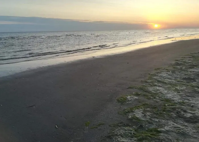 Tranquil Retreat Near - By Traum