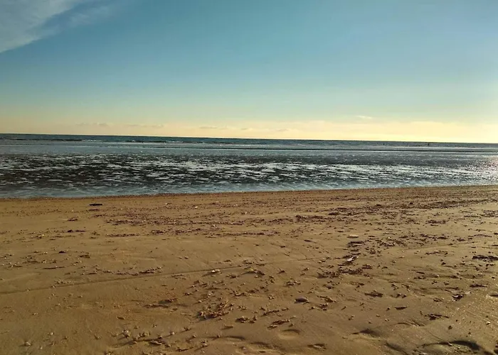 Tatil Evi Tranquil Retreat Near - By Traum *